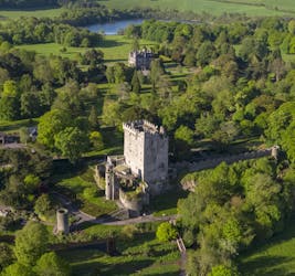 Excursion d’une journée au château de Blarney et à Cork